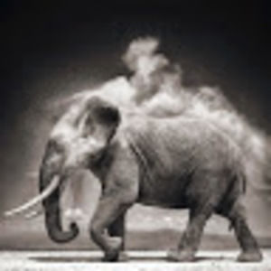 Meet your Posher, Hillary